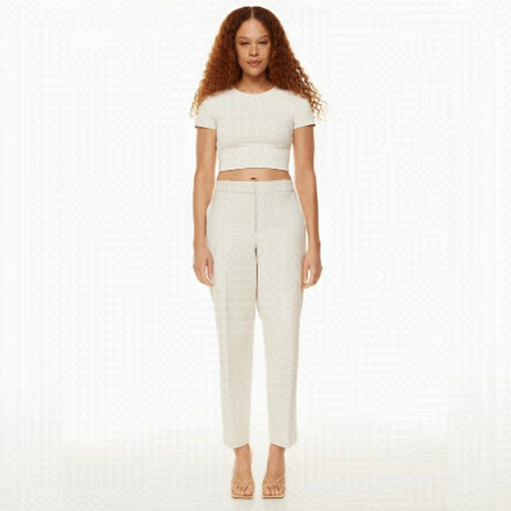 Aritzia Babaton Command Pant